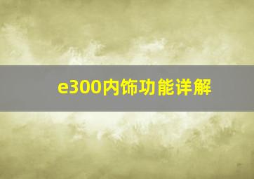 e300内饰功能详解