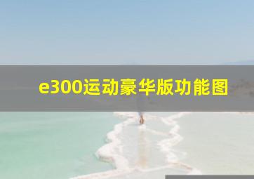 e300运动豪华版功能图