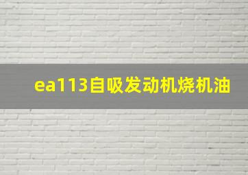 ea113自吸发动机烧机油