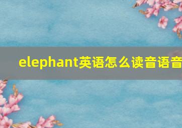 elephant英语怎么读音语音