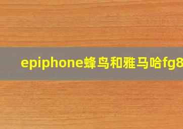 epiphone蜂鸟和雅马哈fg830