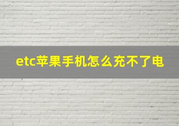 etc苹果手机怎么充不了电