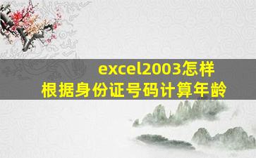 excel2003怎样根据身份证号码计算年龄