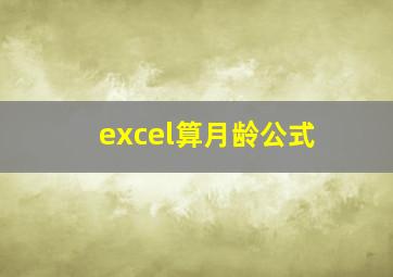 excel算月龄公式