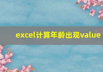 excel计算年龄出现value