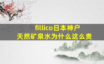 fillico日本神户天然矿泉水为什么这么贵