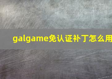 galgame免认证补丁怎么用