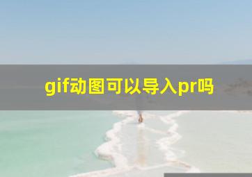 gif动图可以导入pr吗