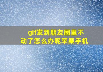 gif发到朋友圈里不动了怎么办呢苹果手机