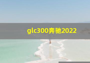 glc300奔驰2022