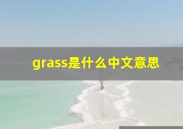 grass是什么中文意思