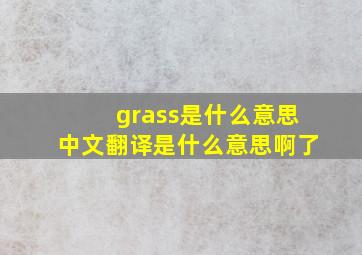 grass是什么意思中文翻译是什么意思啊了