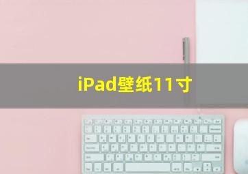 iPad壁纸11寸