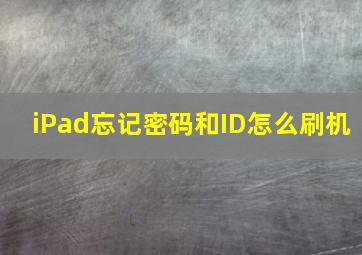 iPad忘记密码和ID怎么刷机