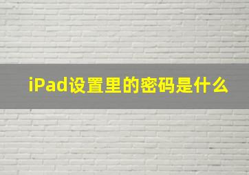 iPad设置里的密码是什么