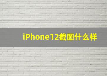 iPhone12截图什么样