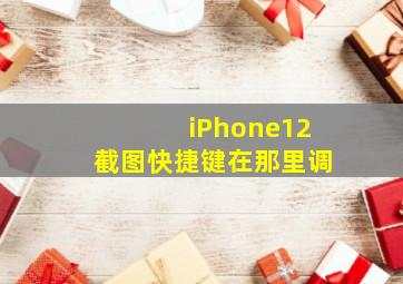 iPhone12截图快捷键在那里调