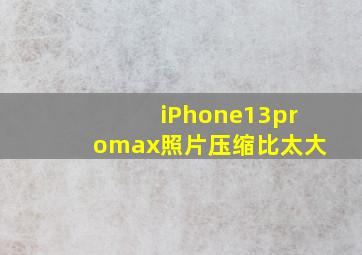 iPhone13promax照片压缩比太大