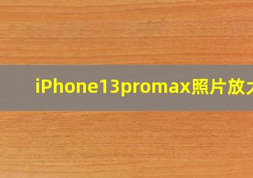 iPhone13promax照片放大镜