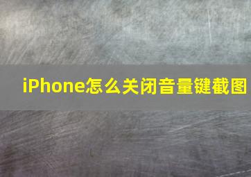 iPhone怎么关闭音量键截图