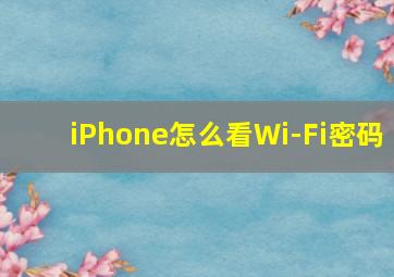 iPhone怎么看Wi-Fi密码