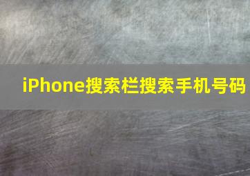 iPhone搜索栏搜索手机号码