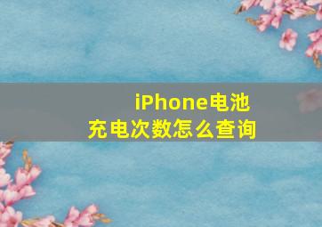 iPhone电池充电次数怎么查询