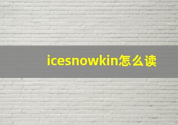 icesnowkin怎么读