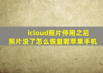 icloud照片停用之后照片没了怎么恢复呢苹果手机