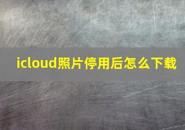 icloud照片停用后怎么下载