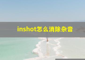 inshot怎么消除杂音