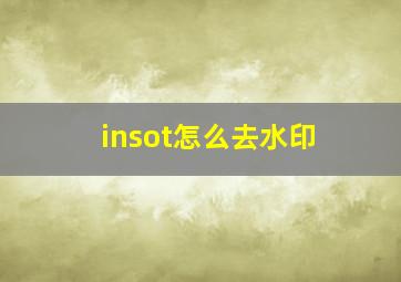 insot怎么去水印