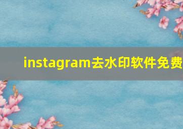 instagram去水印软件免费