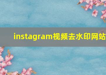 instagram视频去水印网站