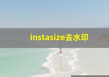 instasize去水印