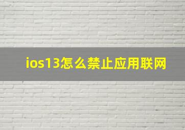 ios13怎么禁止应用联网