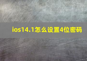 ios14.1怎么设置4位密码