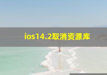 ios14.2取消资源库