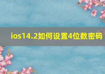 ios14.2如何设置4位数密码