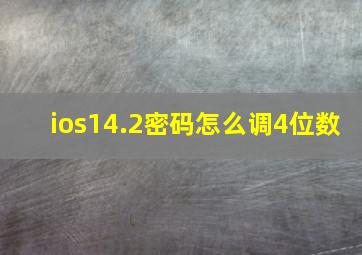 ios14.2密码怎么调4位数