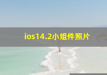 ios14.2小组件照片