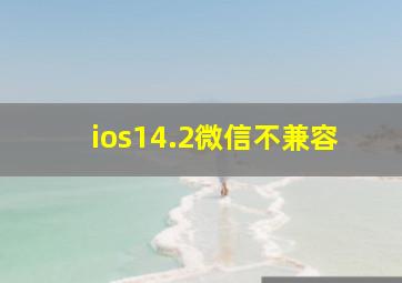 ios14.2微信不兼容