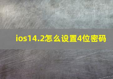 ios14.2怎么设置4位密码