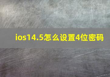 ios14.5怎么设置4位密码