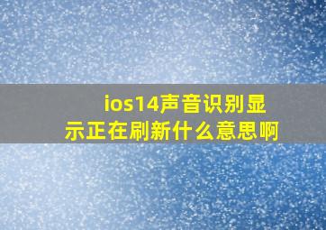 ios14声音识别显示正在刷新什么意思啊