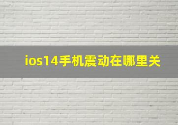 ios14手机震动在哪里关