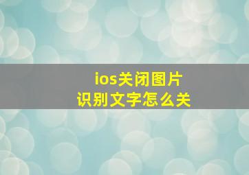 ios关闭图片识别文字怎么关