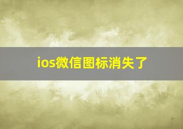 ios微信图标消失了