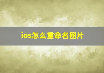 ios怎么重命名图片