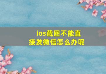 ios截图不能直接发微信怎么办呢